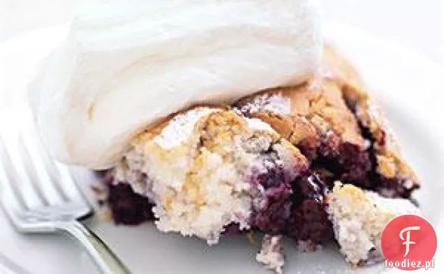 Cobbler Blackberry