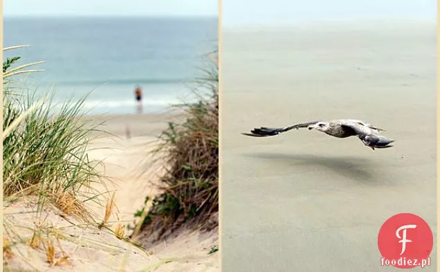 Tartaletki o Smaku estragonu z dziką jagodą, olejek migdałowy Słodka Skórka