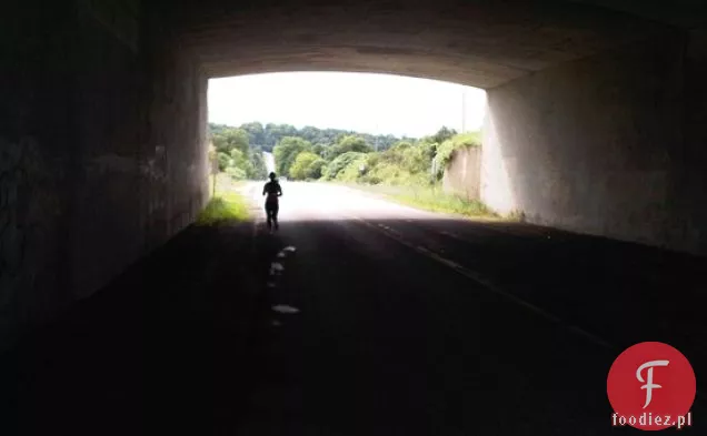 Zdrowe Ciasto Borówkowe Z Polewą Czekoladową