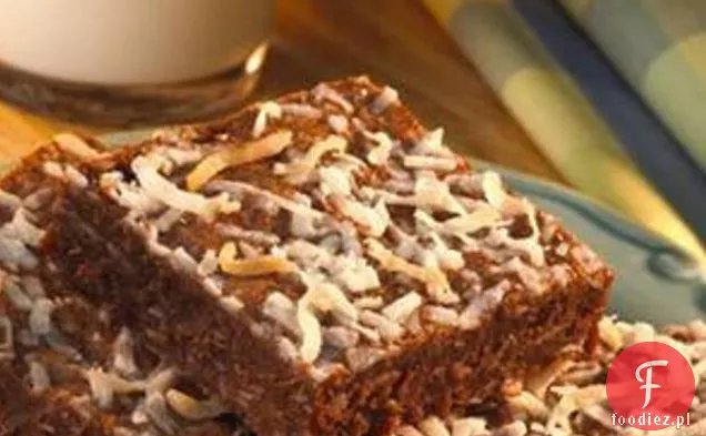 Cocoa Coconut Brownies