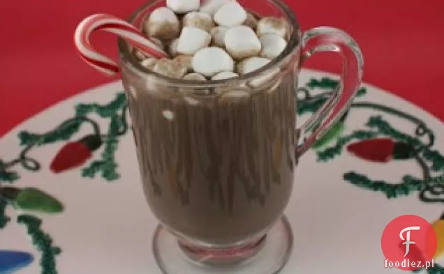 Crockpot Peppermint Hot Chocolate / Peppermint Mocha Recipe