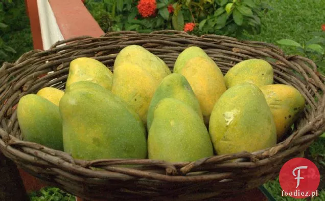 Flaming Mango Deser