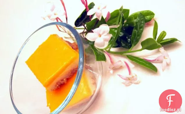 Pudding Summer Magic Mango