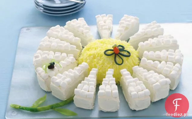 Tort Daisy