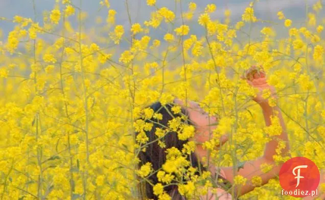 Grillowane Krewetki & Musztarda Zielona Sałatka Recipe