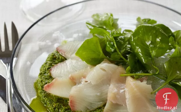 Czerwony Lucjan Crudo z pesto rukoli