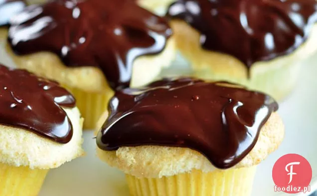 Boston Cream Cupcakes