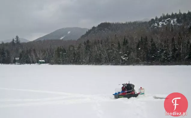 Wędkarstwo Podlodowe I Szybkie Pstrągi Smażone Z Wędzonymi Rillettami Pstrągowymi