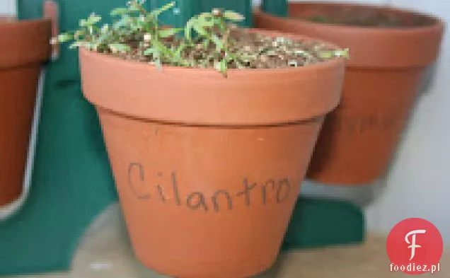 Kotlety Z Indyka W Mango Salsa Crockpot Przepis