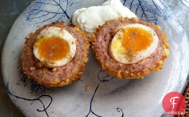 Scotch Egg Recipe