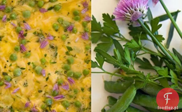 Doskonały Przepis Na Omlet