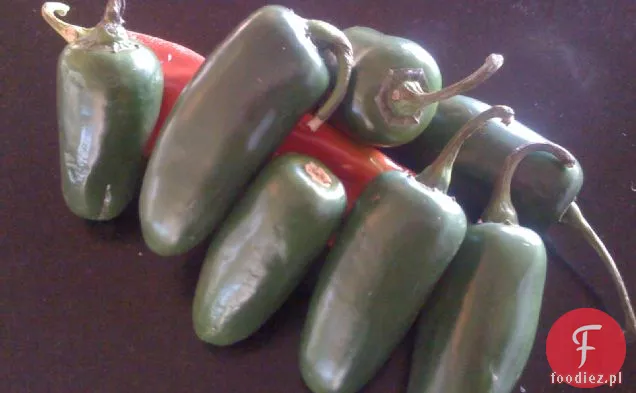 Jalepeno Pepper Bites