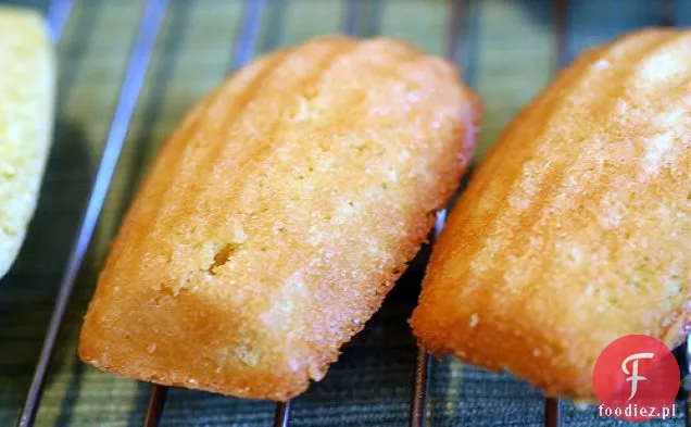 Klasyczne Madeleines