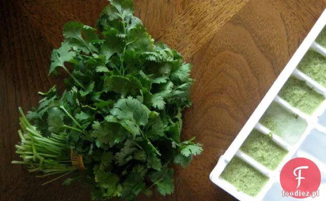 Pesto Z Kolendry