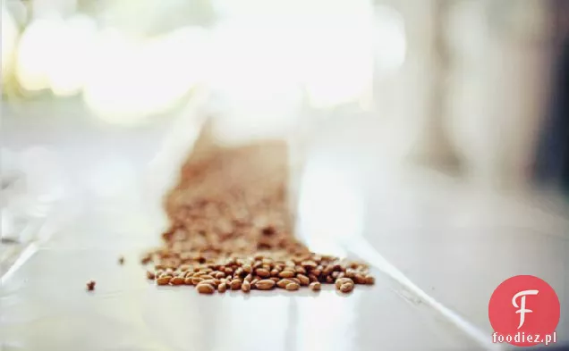 Sałatka Z Jagodami Pszennymi Z Rukolą, Wiśniami I Sosem Pom