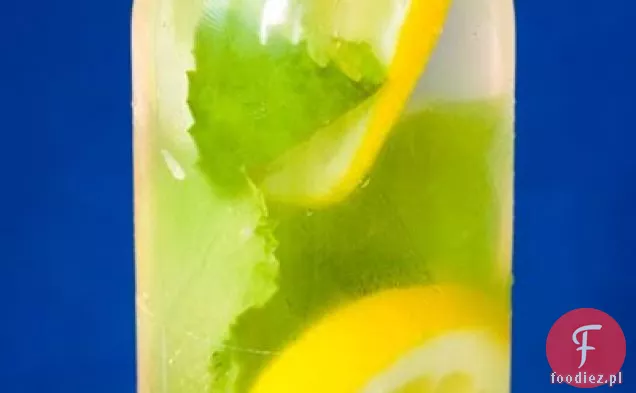 Charlotte ' s Half-frozen Fresh-minted Lemon Water