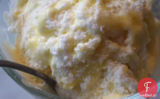 Spice Cream With A Twist Best Lick! 2008 Ice Cream Contest E