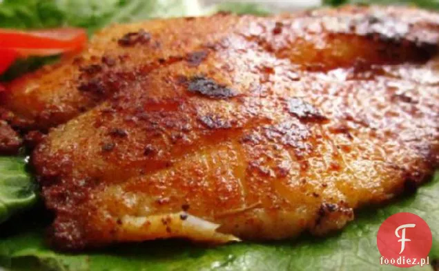 Bronzed Tilapia