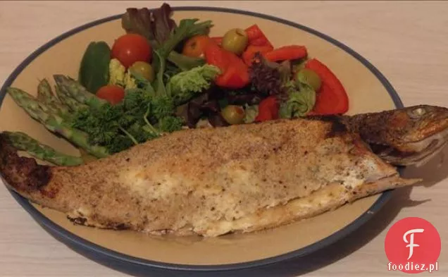 Golden Tilapia