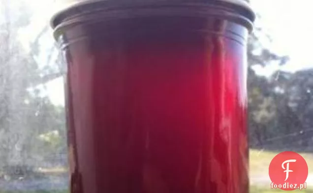 Galaretka Z Tuńczyka ( Opuncja Kaktusowa ) 