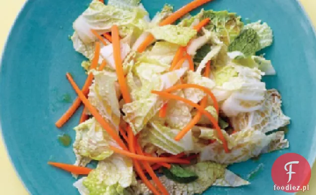 Napa Kapusta Slaw