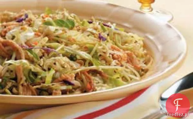 Zippy Chicken Coleslaw