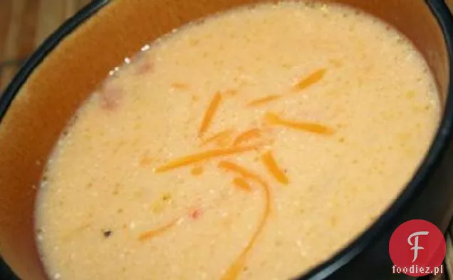 Pikantna Zupa Serowa (Wolnostojąca)