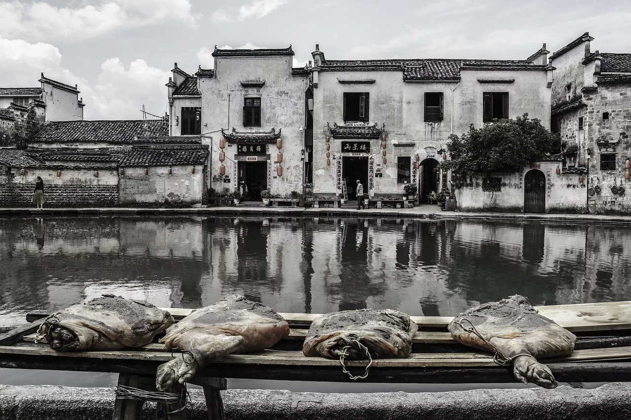 Od starożytnych ziaren po nowoczesne przysmaki: odkrywanie fascynującej historii jedzenia